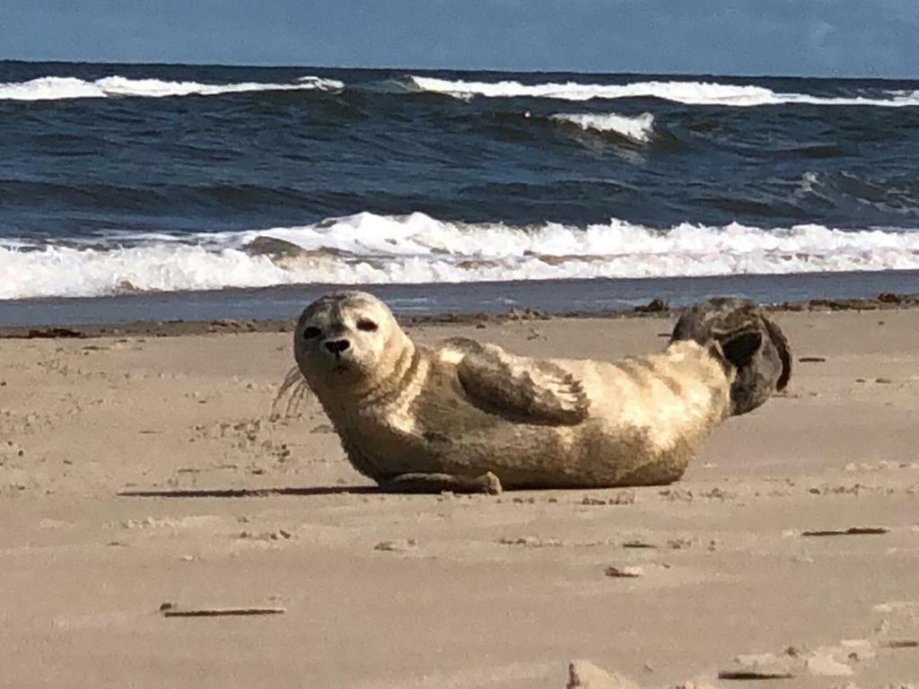 Meerzeit Norderney Luaran gambar
